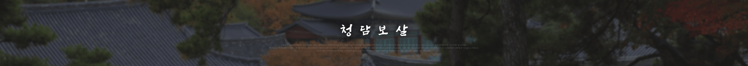 상세페이지 상단